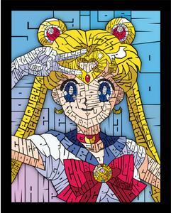 SAILOR MOON by Curtis Epperson - PoP x HoyPoloi Gallery